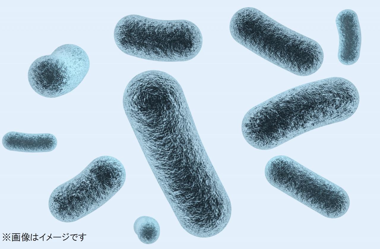 温泉源泉槽や温泉処理水槽、貯湯槽のメンテナンスを怠るとレジオネラ属菌がヤバいことに… | 【全国施工可】各清掃、水槽清掃、設備新規・更新工事 ...